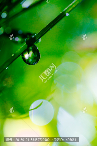 夢(mèng)幻水珠