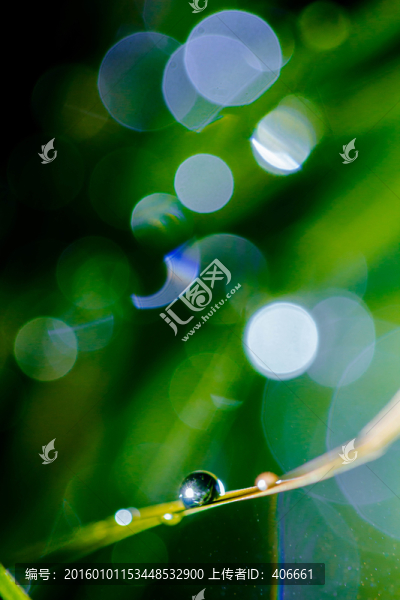 夢幻水珠