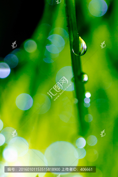 夢幻水珠