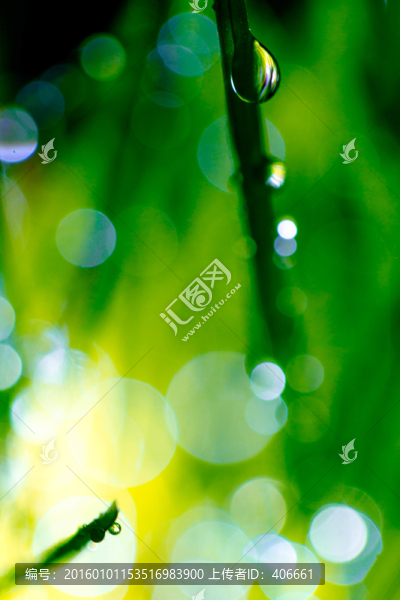 夢幻水珠