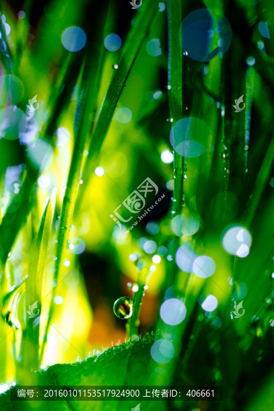 夢幻水珠