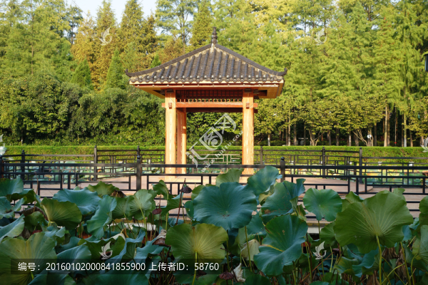 漢陽江灘園林風光