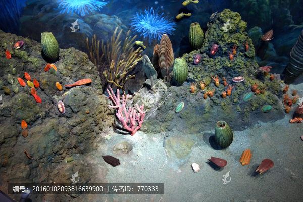 海底世界,海洋生物