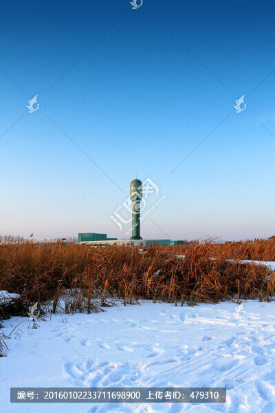 濕地,蘆葦,雪,觀光塔