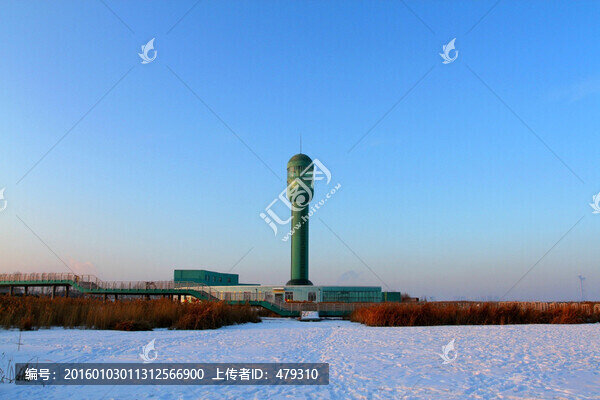 濕地,蘆葦,雪,觀光塔