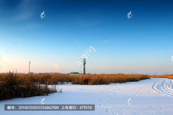 濕地,蘆葦,雪,觀光塔