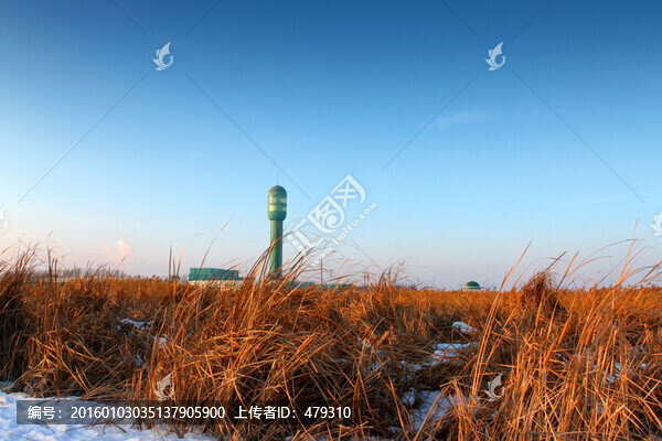 濕地,蘆葦,雪,觀光塔