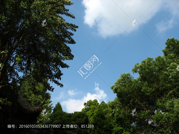 藍(lán)天綠樹