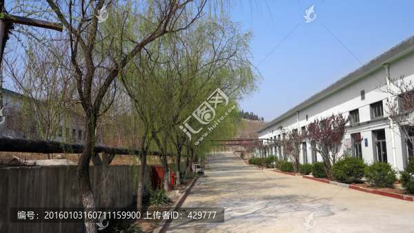 廠區(qū)春天,春天風(fēng)景