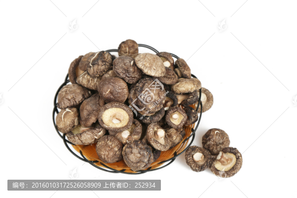 香菇