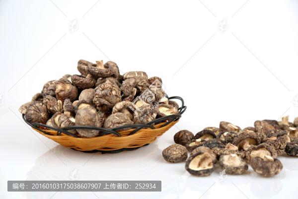 香菇