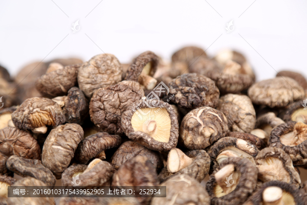 香菇