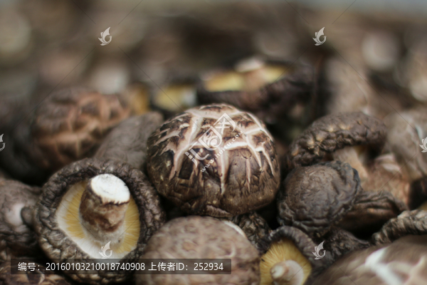 花菇