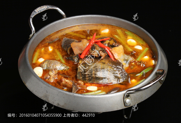 紅湯甲魚