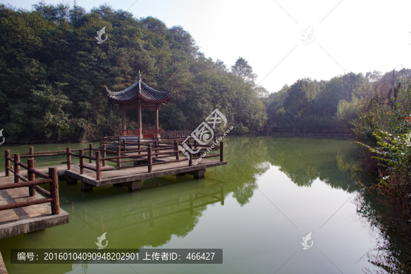 停子,魚塘