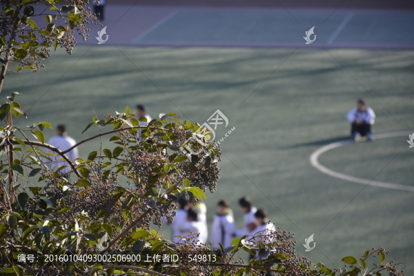 校園
