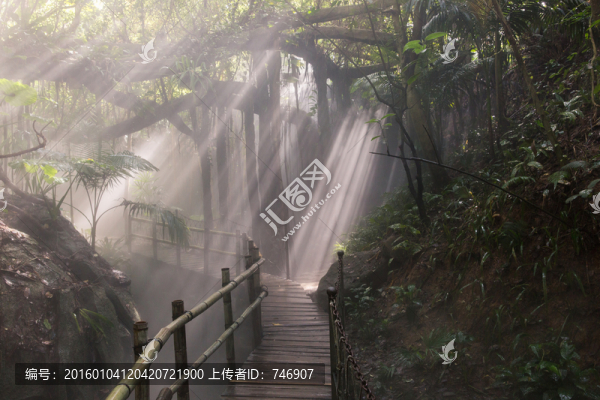 青青世界熱帶雨林