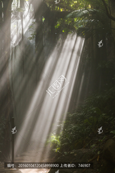 青青世界熱帶雨林
