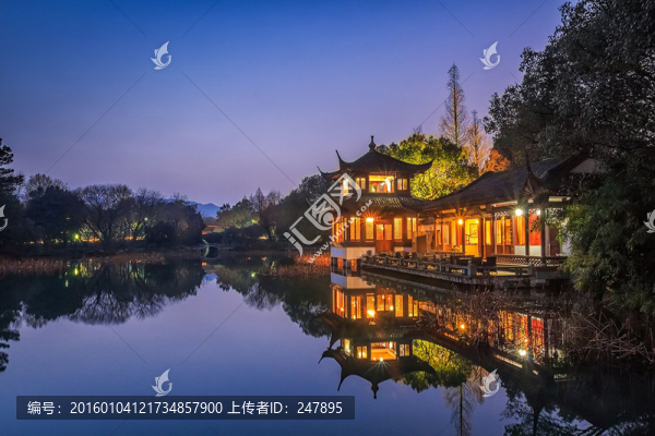 曲院風(fēng)荷夜景