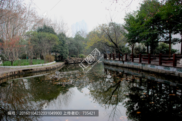 幽靜湖水