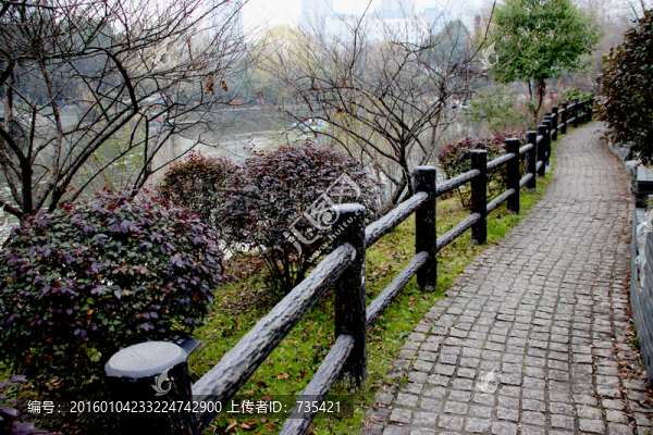 河邊小路