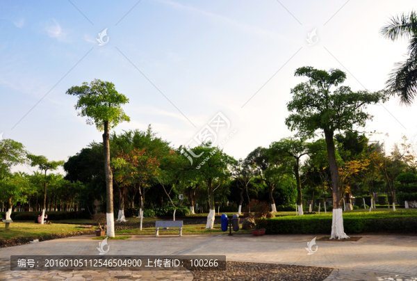 公園綠化