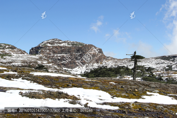 轎子雪山