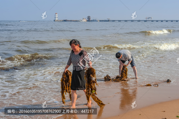 河北秦皇島海灘