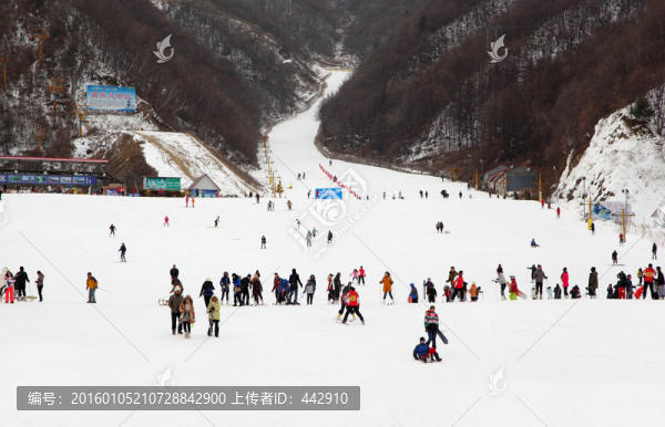 滑雪場