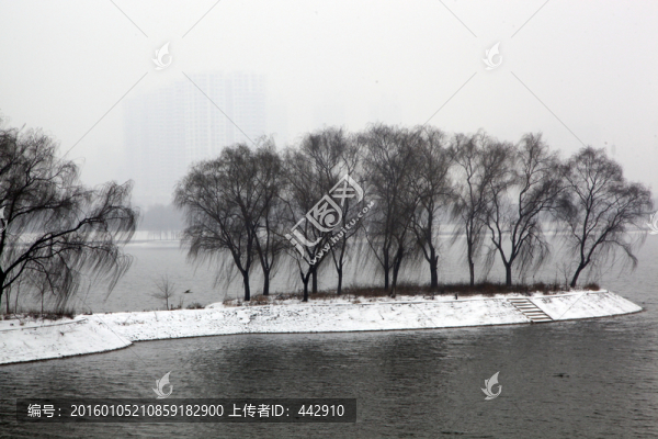 雪景