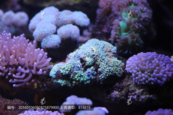 ?？汉? title=