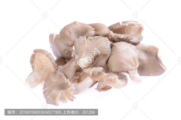 香菇