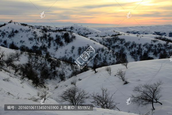 冬季雪景