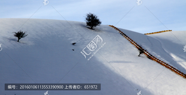 冬季雪景