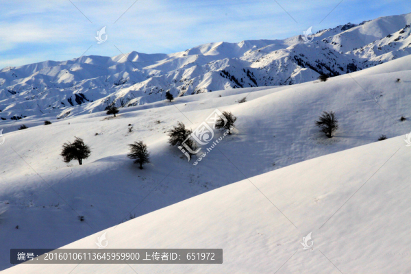冬季雪景