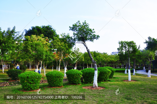 公園綠化