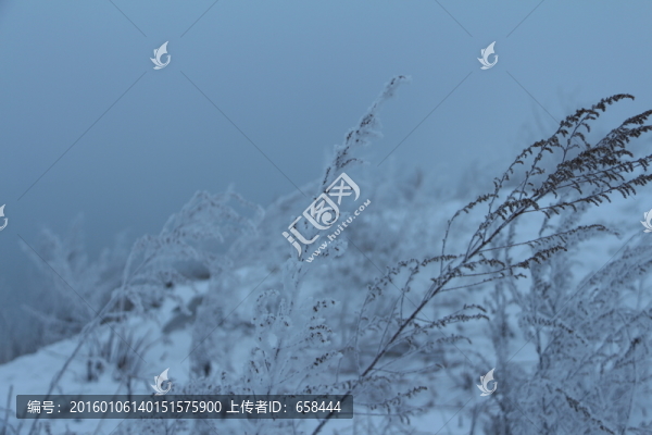 霧凇島