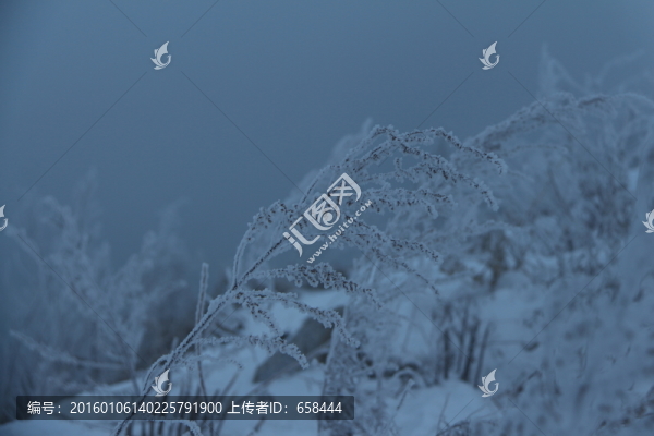 霧凇島