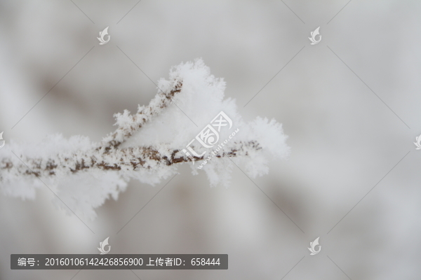 霧凇