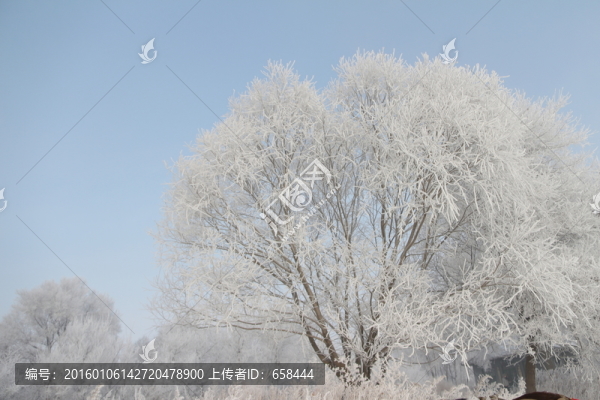 霧凇