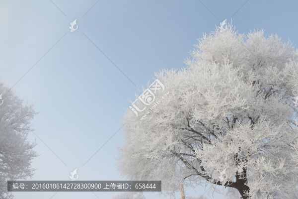 霧凇