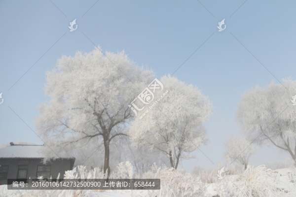 霧凇
