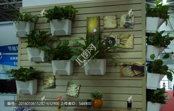 植物懸掛裝飾