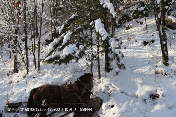 雪谷