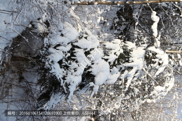雪谷