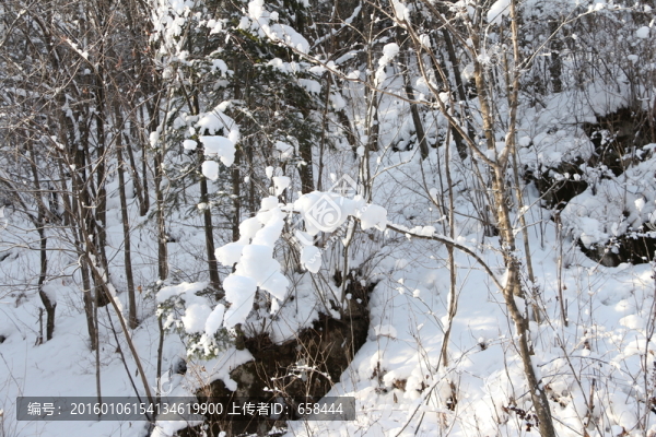 雪谷