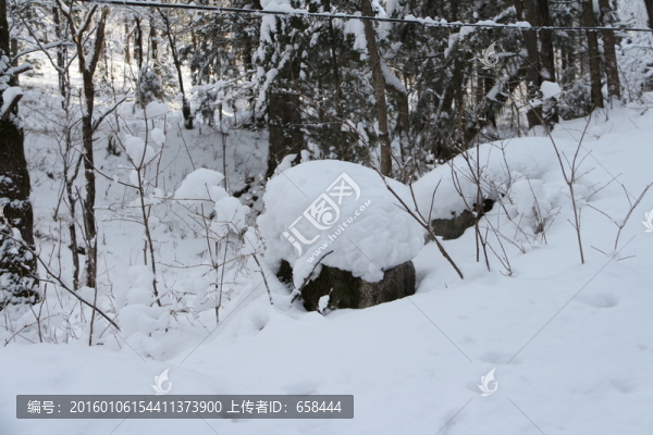 雪谷