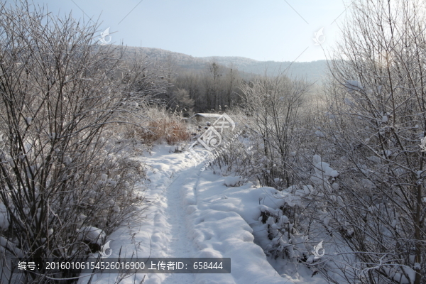 雪谷