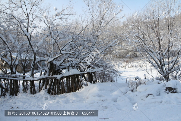雪谷