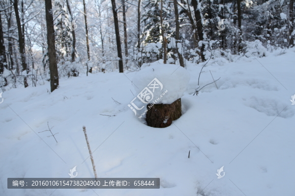 雪谷